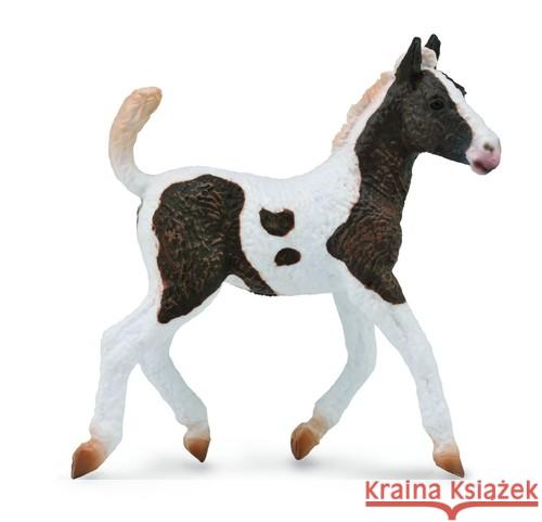 Źrebię rasy Bashkir Curly  4892900887814 Collecta