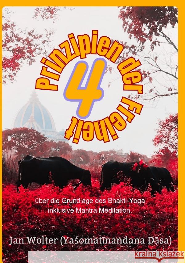 4 Prinzipien der Freiheit Wolter, Jan 9783758444661 epubli - książka