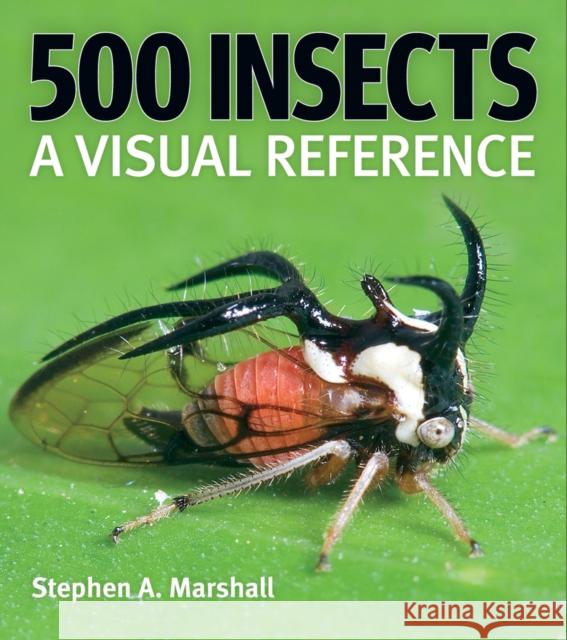 500 Insects: A Visual Reference Stephen A Marshall 9780228104940 Firefly Books Ltd - książka