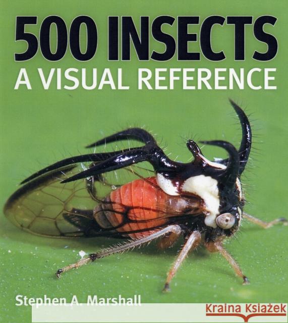 500 Insects: A Visual Reference Stephen A. Marshall 9781554073450 Firefly Books Ltd - książka