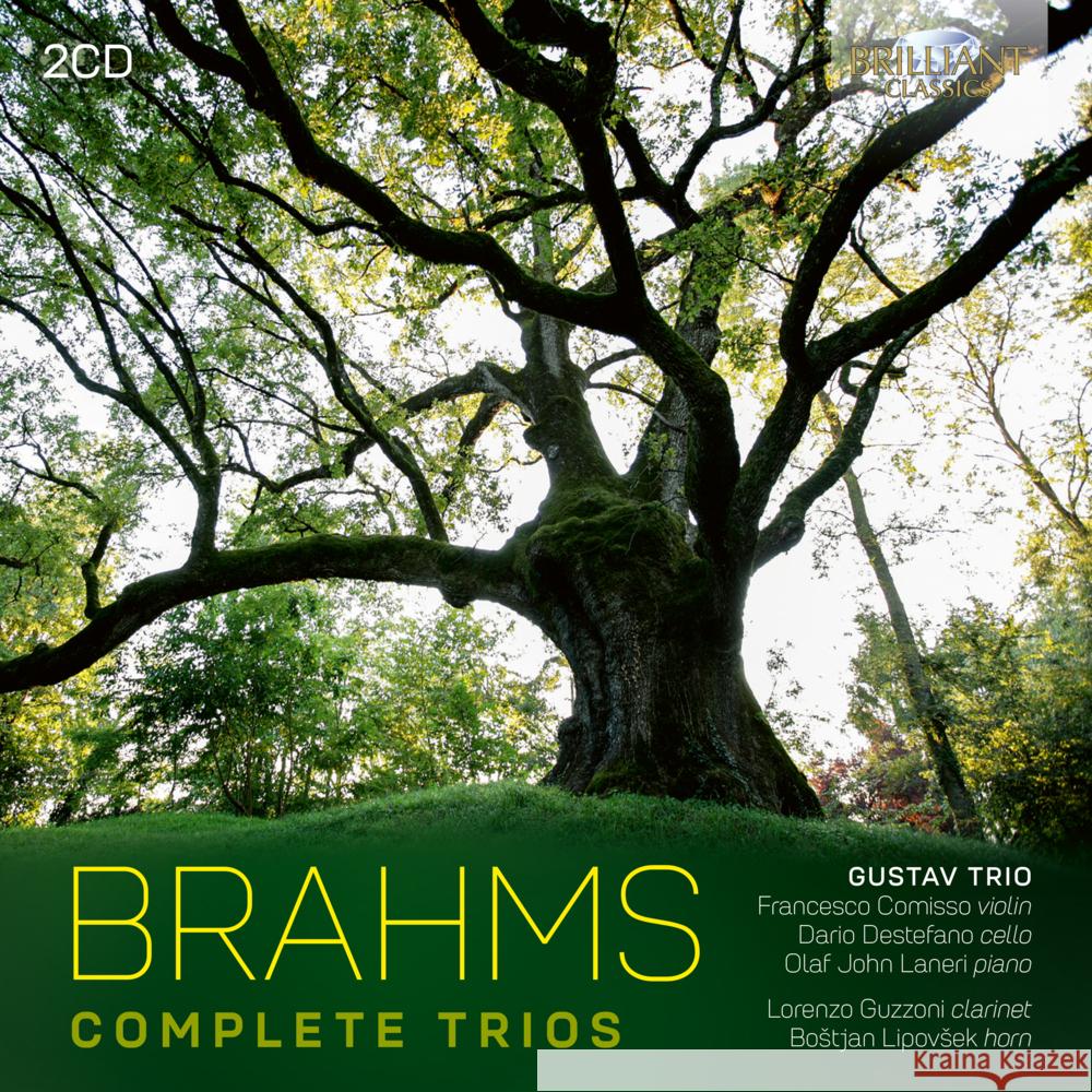 Complete Trios, 2 Audio-CD Brahms, Johannes 5028421967462