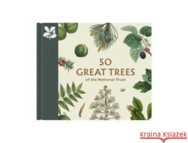 50 Great Trees of the National Trust SIMON TOOMER 9780707804613 National Trust - książka