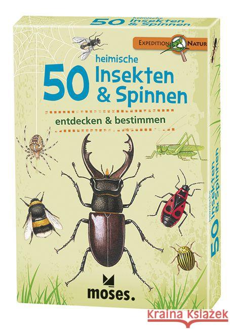 50 heimische Insekten & Spinnen entdecken & bestimmen, 50 Ktn.  4033477097231 moses. Verlag - książka