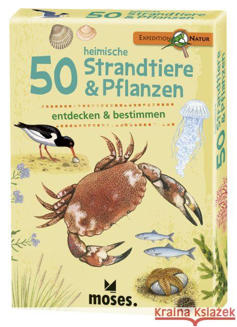 50 heimische Strandtiere & Pflanzen entdecken & bestimmen : Expedition Natur Kessel, Carola von 4033477097453 moses. Verlag - książka