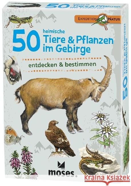 50 heimische Tiere & Pflanzen im Gebirge : erkennen & bestimmen Kessel, Carola von 4033477097620 moses. Verlag - książka