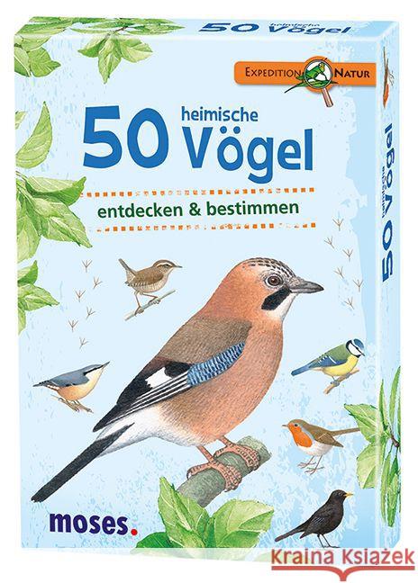 50 heimische Vögel entdecken & bestimmen  4033477097156 moses. Verlag - książka