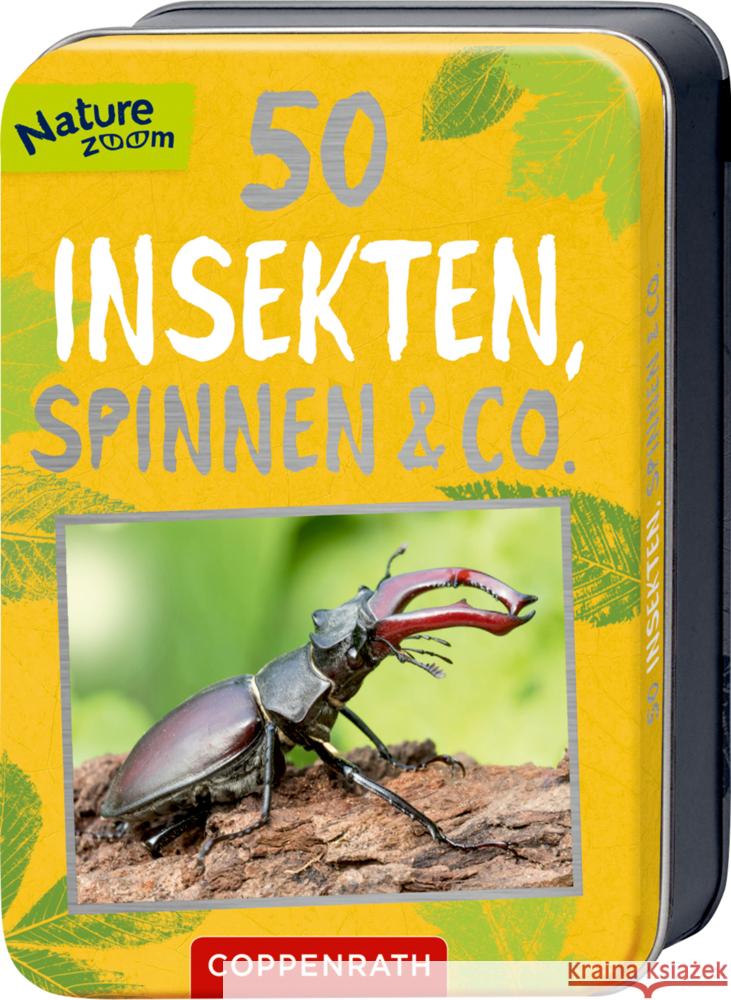 50 Insekten, Spinnen & Co. Haag, Holger 9783649647300 Coppenrath, Münster - książka