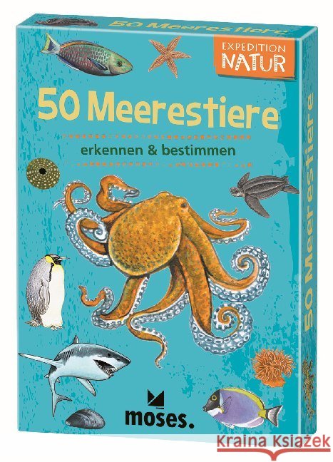 50 Meerestiere erkennen & bestimmen Kessel, Carola von 4033477098214 moses. Verlag - książka
