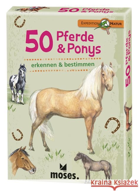 50 Pferde & Ponys erkennen & bestimmen Kessel, Carola von 4033477097446 moses. Verlag - książka