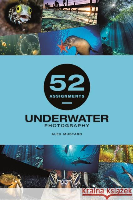 52 Assignments: Underwater Photography Alexander Mustard 9781781454893 GMC Publications - książka