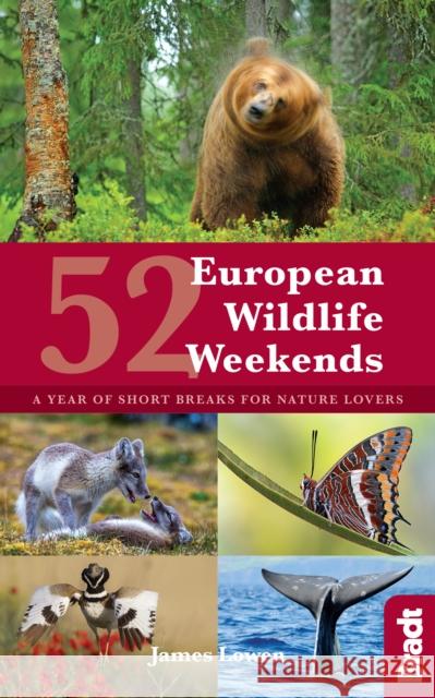 52 European Wildlife Weekends: A year of short breaks for nature lovers James Lowen 9781784770839 Bradt Travel Guides - książka