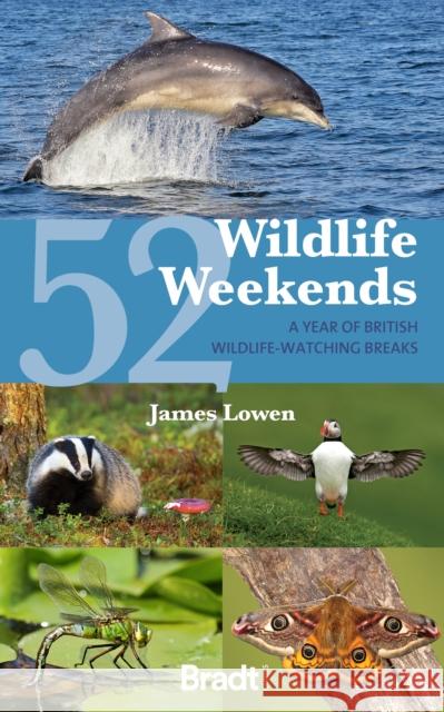 52 Wildlife Weekends: A Year of British Wildlife-Watching Breaks James Lowen 9781804691311 Bradt Travel Guides - książka