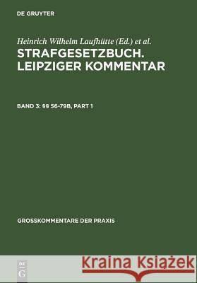 56-79b Heinrich Wilhelm Laufhtte Ruth Rissing-Va Klaus Tiedemann 9783899492330 Walter de Gruyter - książka