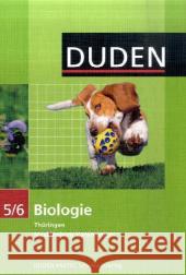 5./6. Klasse, Lehrbuch Goldberg, Axel Kemnitz, Edeltraud  9783898184953 Duden Paetec - książka