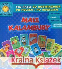 Małe kalambury JAWA  5901838003568 Jawa