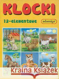 Klocki - 12 elementowe, różne rodzaje  5902410003266 Adamigo