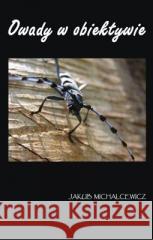 Owady w obiektywie TW Jakub Michalcewicz 5902490400580