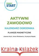 Pewny Start. Aktywni zawodowo.Kalendarz...Plansze Lidia Klaro-Celej Szostak Barbara 5902539118469