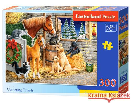Puzzle 300 Gathering Friends CASTOR Castor 5904438030255