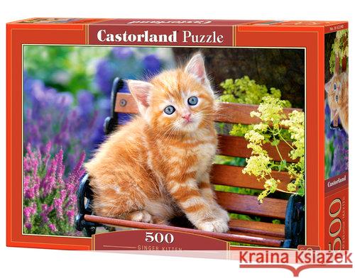 Puzzle 500 Ginger Kociak CASTOR  5904438052240 Castor