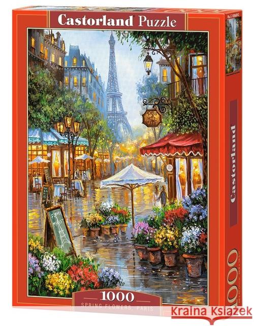 Puzzle 1000 Spring Mill CASTOR  5904438104055 Castorland