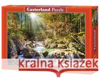 Puzzle 2000 Strumyk w lesie CASTOR  5904438200382 Castor