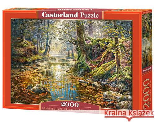 Puzzle 2000 Wspomnienie z jesiennego lasu CASTOR  5904438200757 Castorland