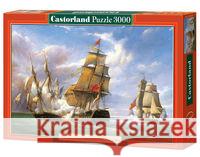 Puzzle 3000 Żaglowce na morzu CASTOR  5904438300037 Castor