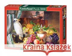 Puzzle 3000 Papuga i owoce CASTOR  5904438300143 Castor