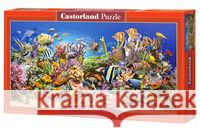 Puzzle 4000 Podwodne życie CASTOR  5904438400089 Castor