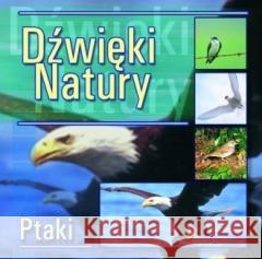 Dźwięki natury. Ptaki CD  5906409100813 MTJ