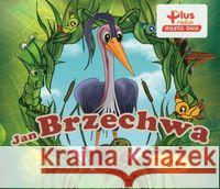 Jan Brzechwa - audiobook Brzechwa Jan 5906409902288 MTJ