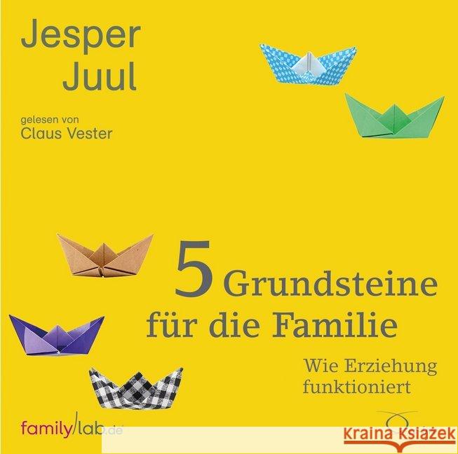 5 Grundsteine für die Familie, 4 Audio-CDs : Wie Erziehung funktioniert. Ungekürzte Lesung Juul, Jesper 9783956163432 cc-live - książka