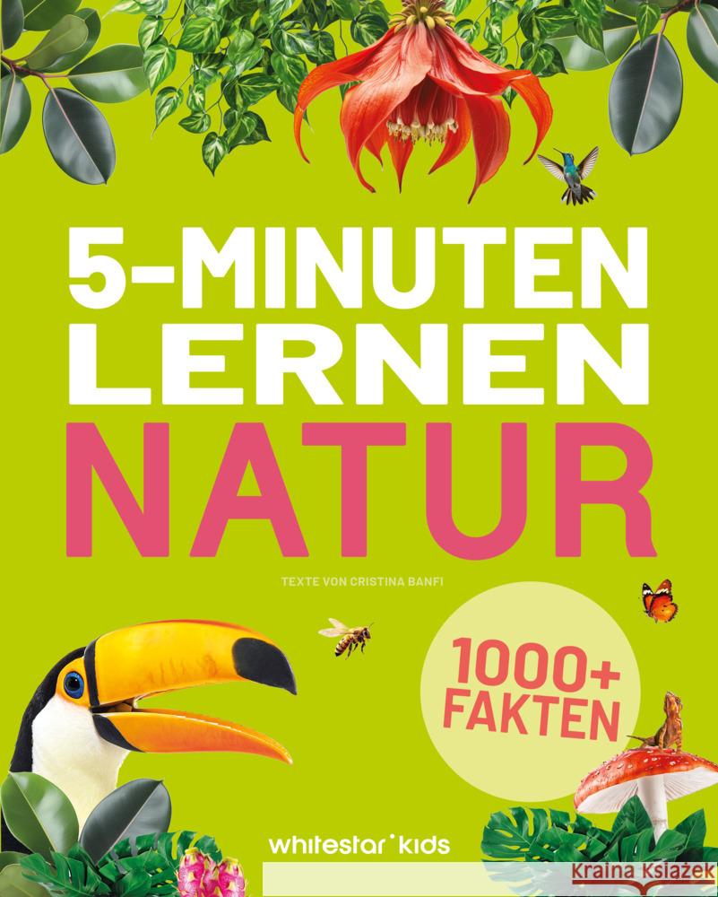 5-Minuten-Lernen Natur Cristina Banfi 9788863127492 White Star - książka