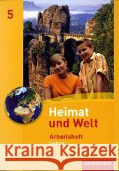 5. Schuljahr, Arbeitsheft Baumann, Matthias Bräuer, Kerstin Gerber, Wolfgang 9783141498158 Westermann - książka