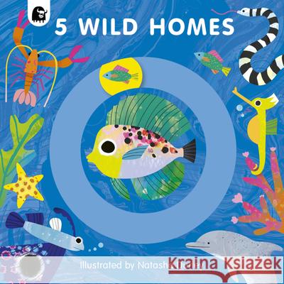 5 Wild Homes Emily Pither Words&pictures                           Natasha Durley 9780711265936 Words & Pictures - książka