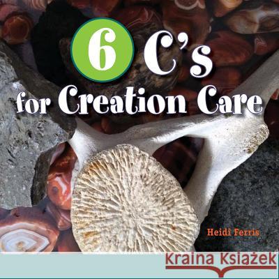 6 C's for Creation Care: Creation, Christ, Creativity, Combustion, Climate, Connect Heidi Ferris 9781523902590 Createspace Independent Publishing Platform - książka
