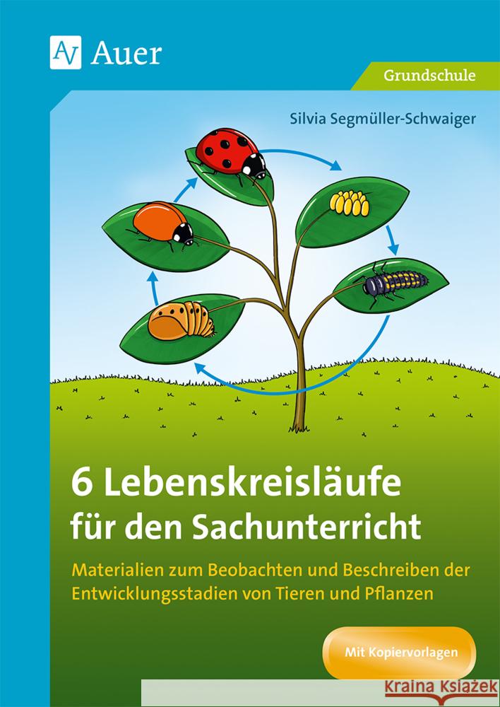 6 Lebenskreisläufe für den Sachunterricht Segmüller-Schwaiger, Silvia 9783403085706 Auer Verlag in der AAP Lehrerwelt GmbH - książka