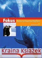 6. Schuljahr, Schülerbuch Boysen, Gerd Fösel, Angela Grönke, Ottokar 9783060102952 Cornelsen - książka