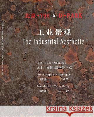 798 & D-Park: The Industrial Aesthetic Peter Nesteruk Fengge Yu Hang Yang 9781494862725 Createspace - książka