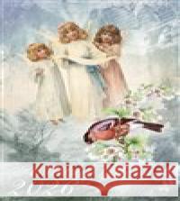 Andělský 2026 Klára Trnková 8594068251846 Studio Trnka