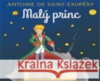 Malý princ - audiobook Antoine de Saint-Exupéry 8594072273001