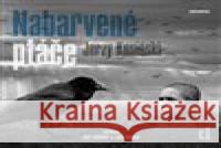 Nabarvené ptáče Jerzy Kosinski 8594169482811