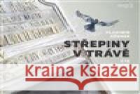 Střepiny v trávě Vladimír Körner 8594177770641