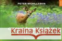 Citový život zvířat Peter Wohlleben 8594201410024 Nakladatelství Kazda