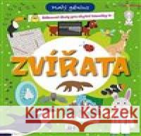 Malý génius - Zvířata  8595593832906 Jiri models