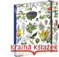 Notes Bylinky Kateřiny Winterové, tečkovaný  8595689344146 Presco Group