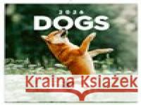 Poznámkový kalendář Psi 2026  8595689351700 Presco Group