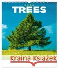 Nástěnný kalendář Stromy 2026  8595689352059 Presco Group