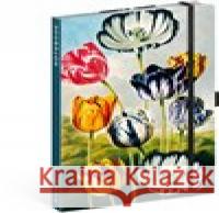 Notes Tulipány Kateřiny Winterové, linkovaný  8595689357917 Presco Group